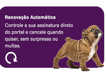 4dsae