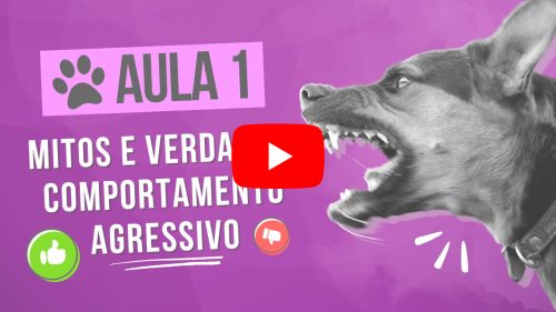 capa-aula-1